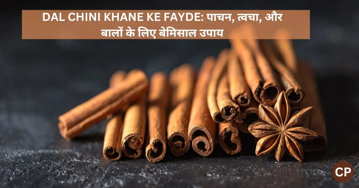 dal chini khane ke fayde